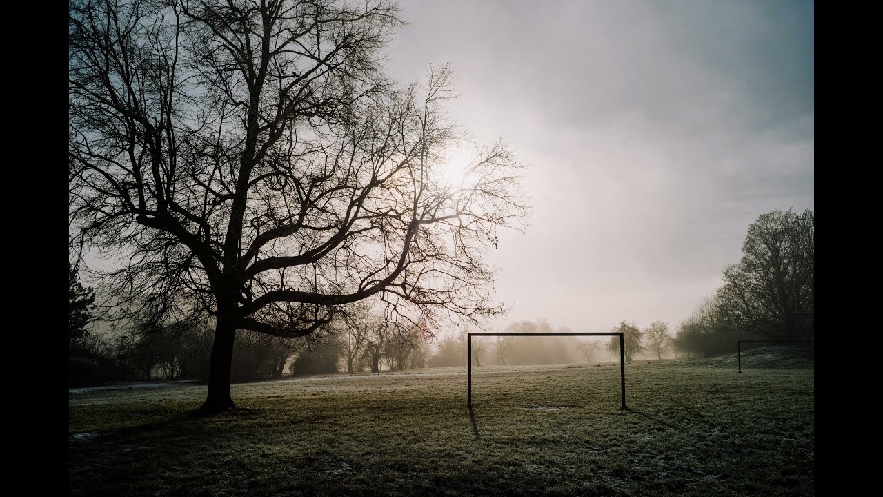 Darum solltest du Sonne und Nebel unbedingt fotografieren