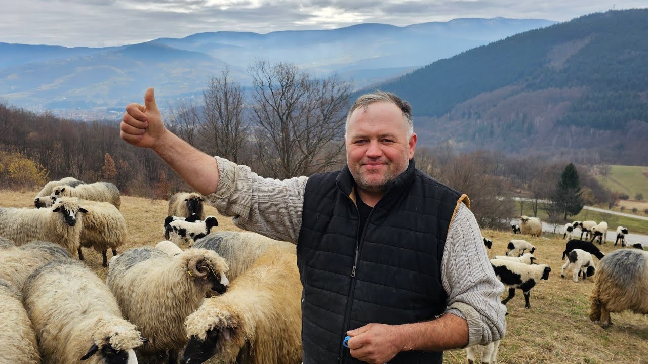 Turbe: Ovčar Jozo Prepricao BORBU s *MEDOM* na Vlašiću.