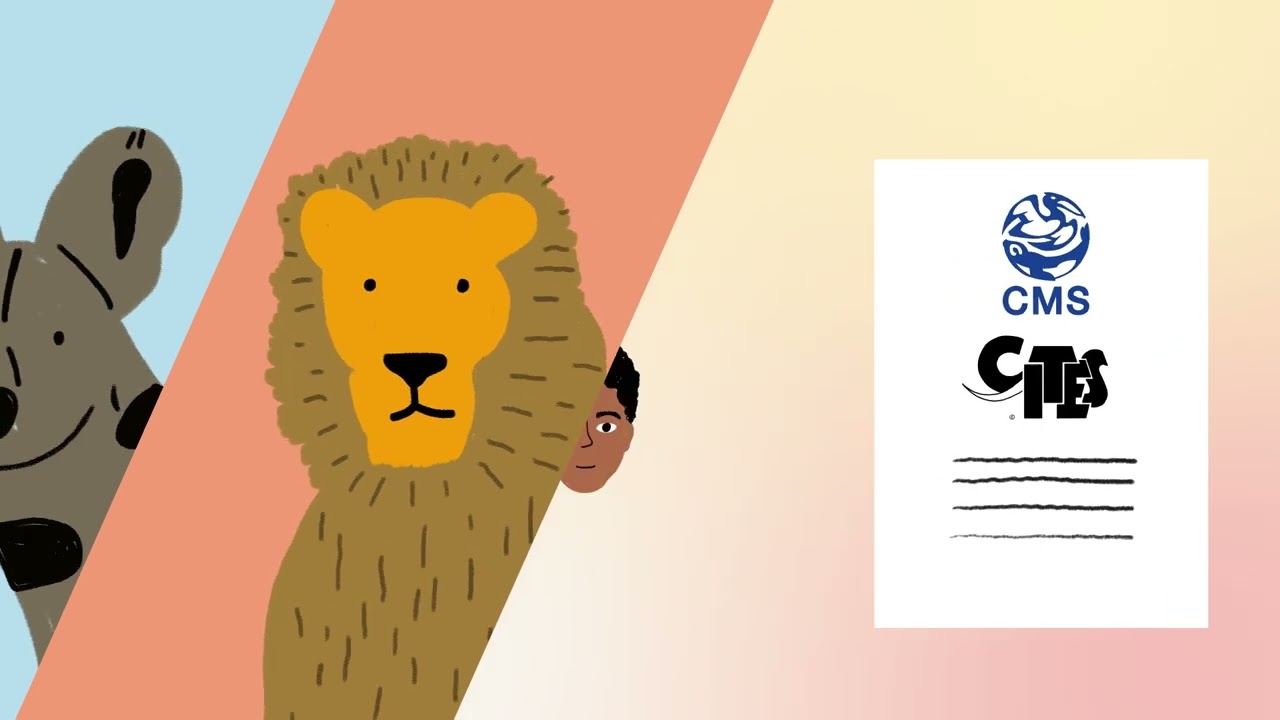 L'initiative conjointe CMS-CITES pour les carnivores d’Afrique