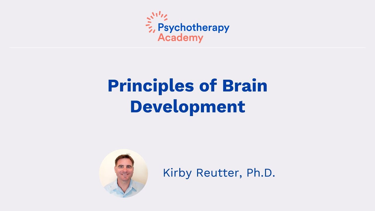 Four Stages of Brain Development