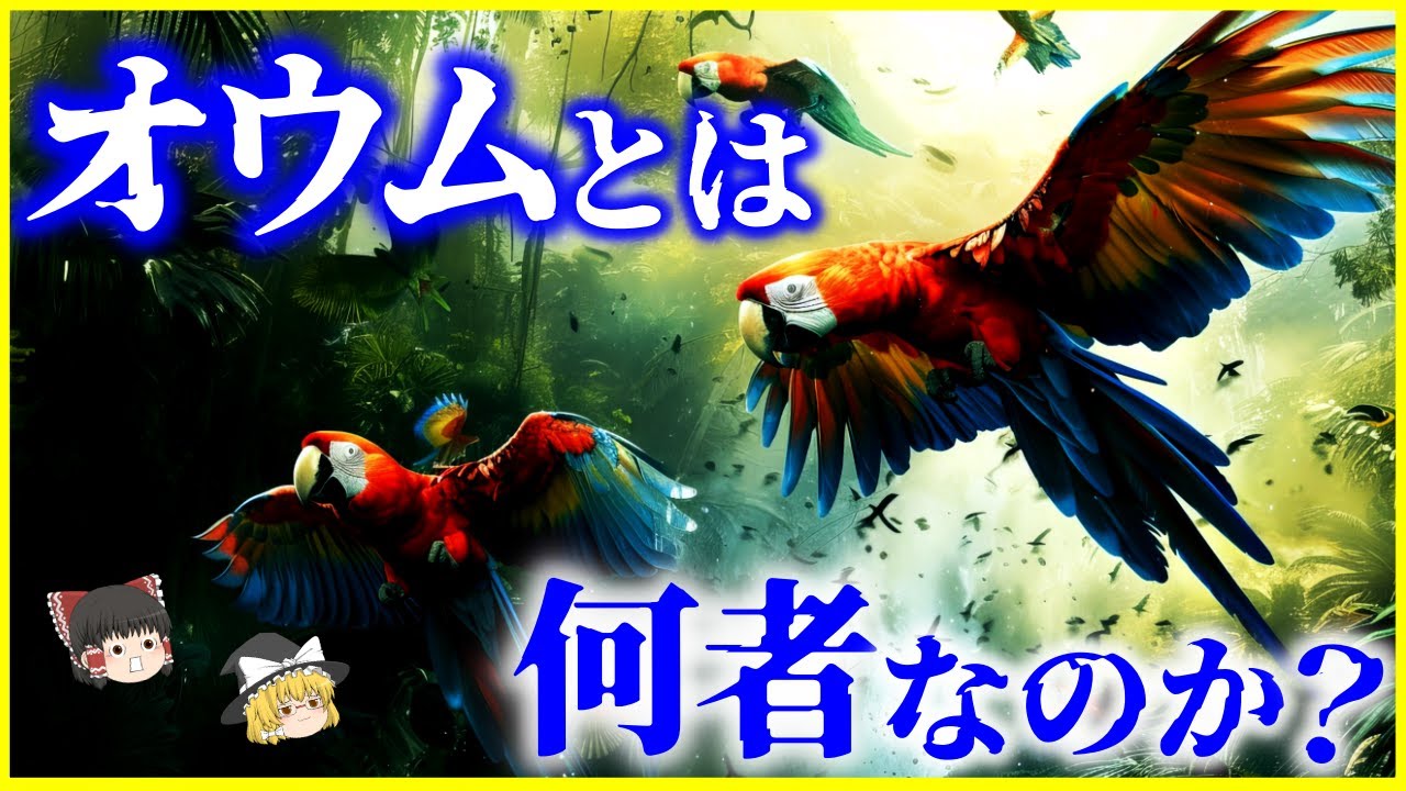 【ゆっくり解説】海外では害鳥⁉️「オウム」とは何者なのか？を解説/日本初来日は647年⁉️意外と知らないオウムの全て