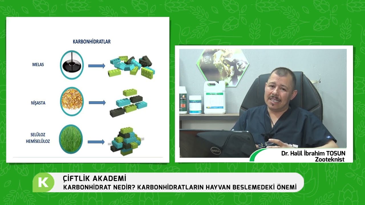 KARBONHİDRATLARIN HAYVAN BESLEMEDEKİ ÖNEMİ