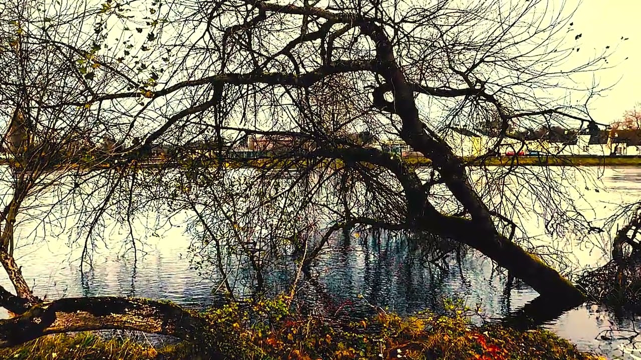 Celtic Sky | Modern Celtic Folk | Long Form Handcrafted Instrumental Music
