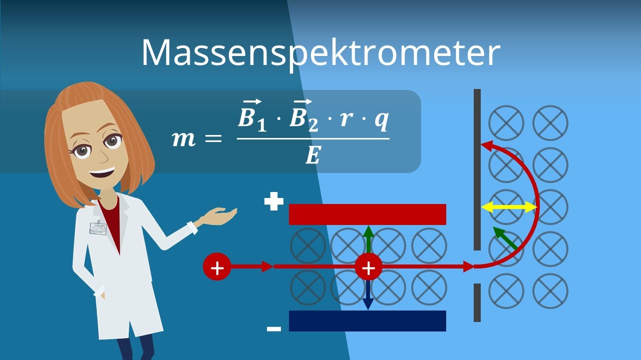 Massenspektrometer - Erkl&auml;rung, Funktionsweise & Auswertung | Studyflix
