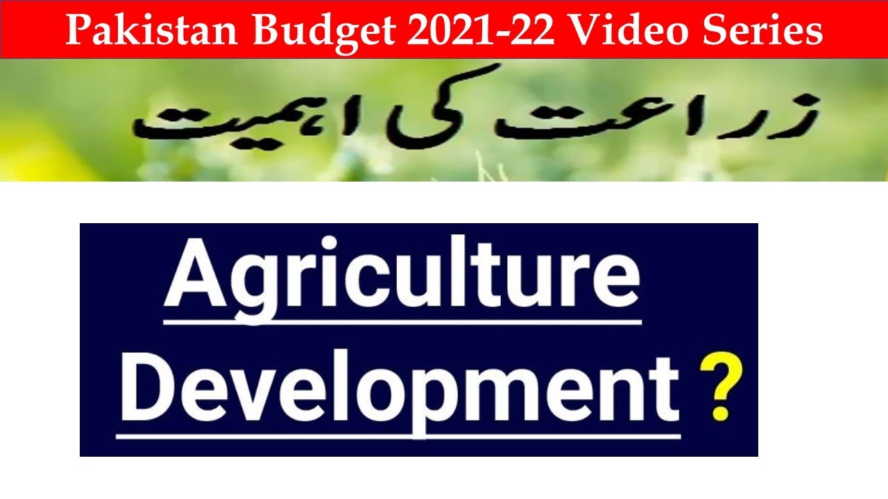 Economic Development Through Agriculture in Pakistan | Reality Check | Budget 2021 Pakistan