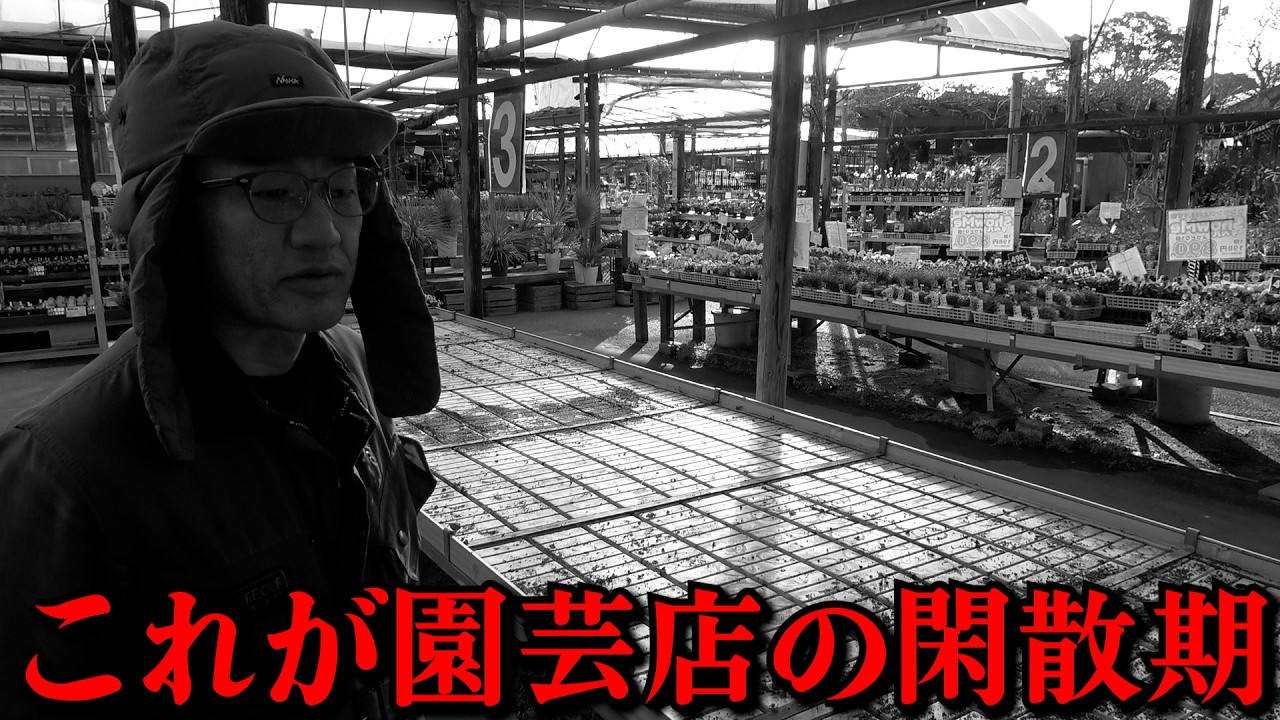 【悲報】園芸店の閑散期は辛いよ【カーメン君】【園芸】【ガーデニング】