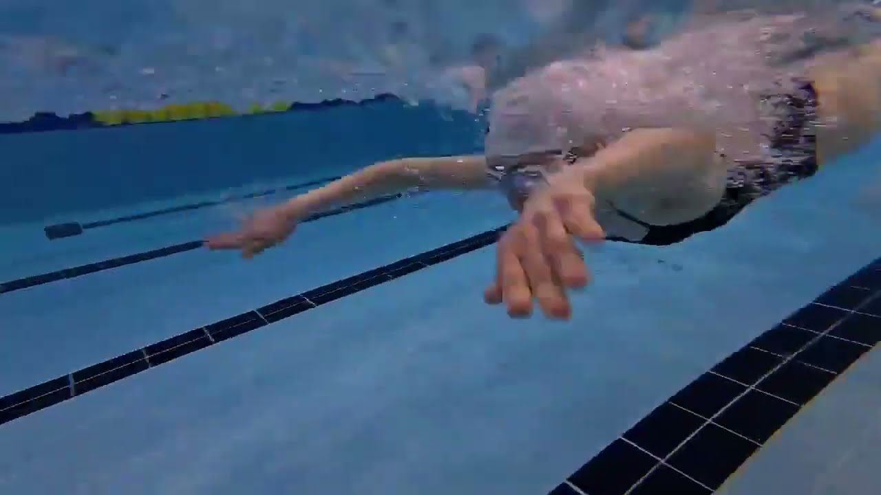 매일매일 성장하는 수영! 오늘의 IM(접영,배영,평영,자유형) 🏊‍♀️ 