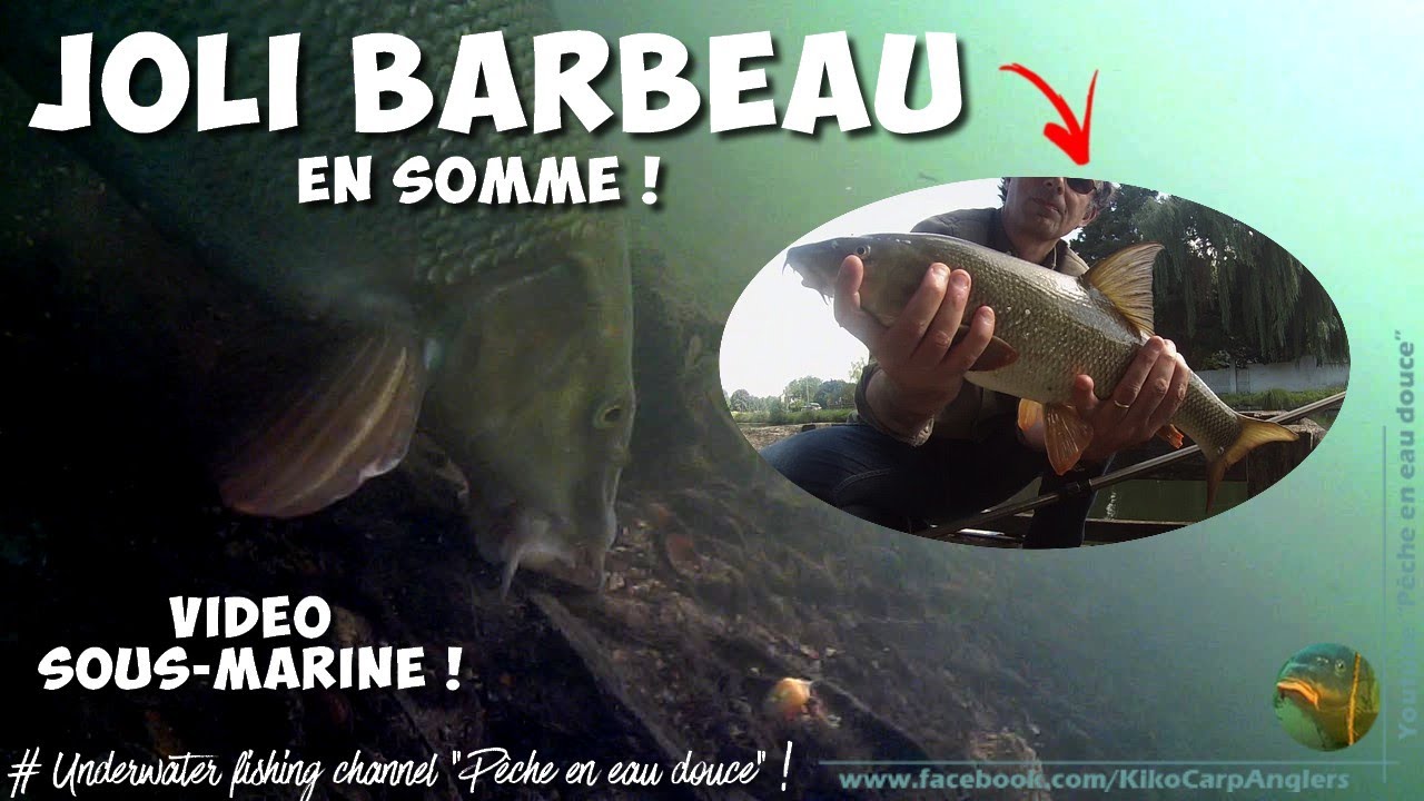 JOLI BARBEAU - P&Ecirc;CHE DANS LA SOMME - Version courte (Vid&eacute;o Sous-marine Waterwolf)
