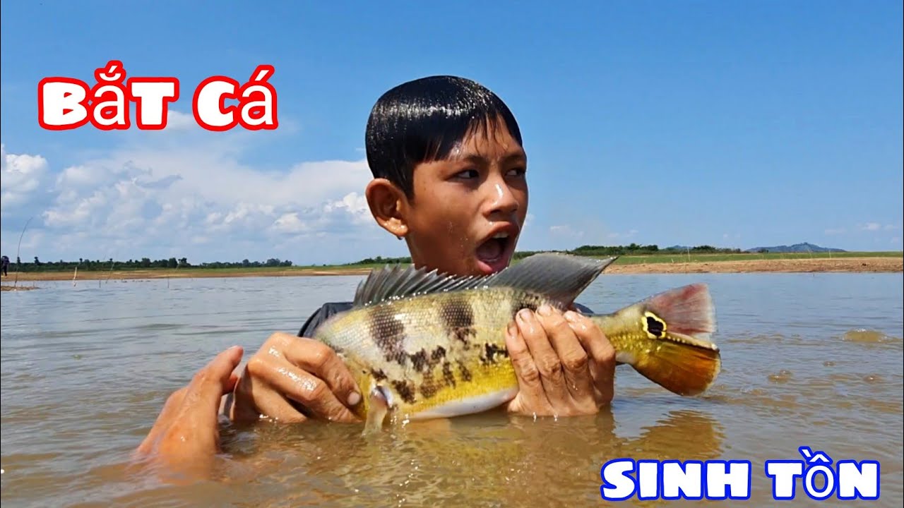 Bắt Cá Bằng Tay Không Thử Thách SINH TỒN Giữa Biển Hồ