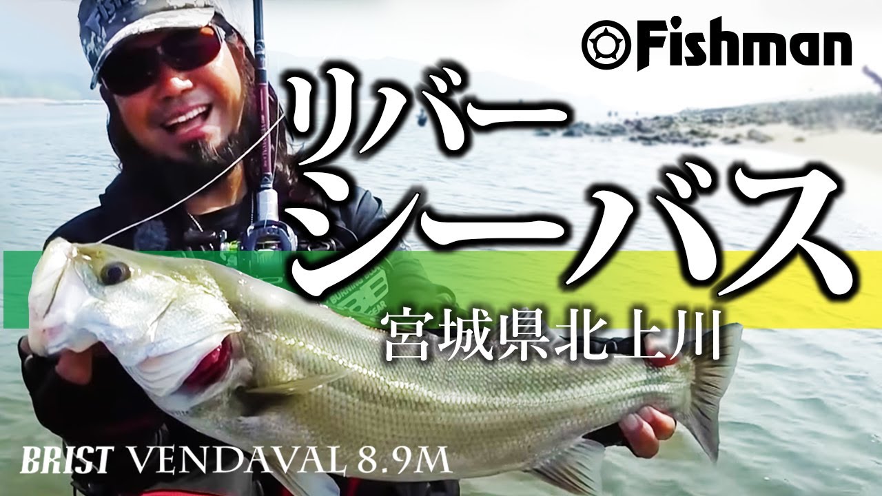 初夏のリバーシーバスフィッシング宮城県北上川