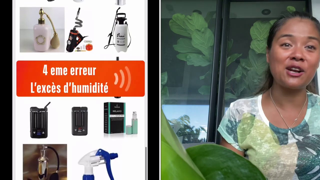 Les 6 erreurs de culture plante les plus courantes