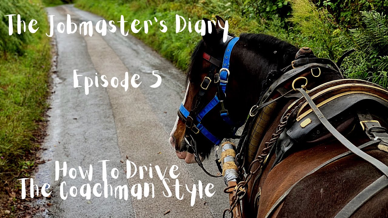 THE JOBMASTER'S DIARY EPISODE 5 - HOW TO DRIVE A HARNESS HORSE THE COACHMAN STYLE