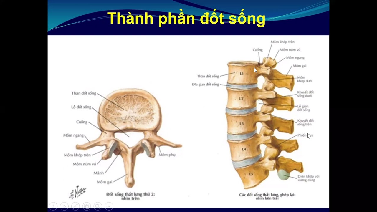 Bài giảng: Điều trị đau cột sống thắt lưng và Đau thần kinh tọa