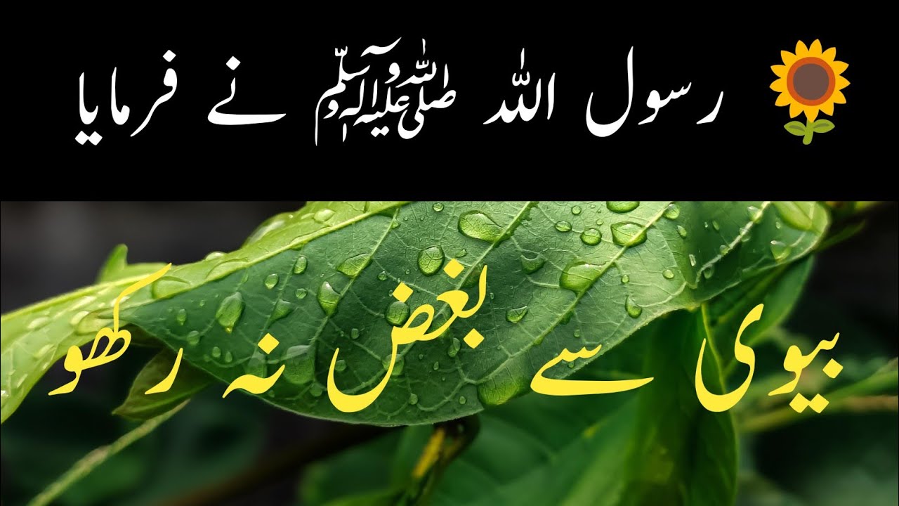 “Biwi se bughz na rakho.”#Hadith Mubarak #islamic stats#fypシ゚viral #Charwelo Voice #vairal #islamic