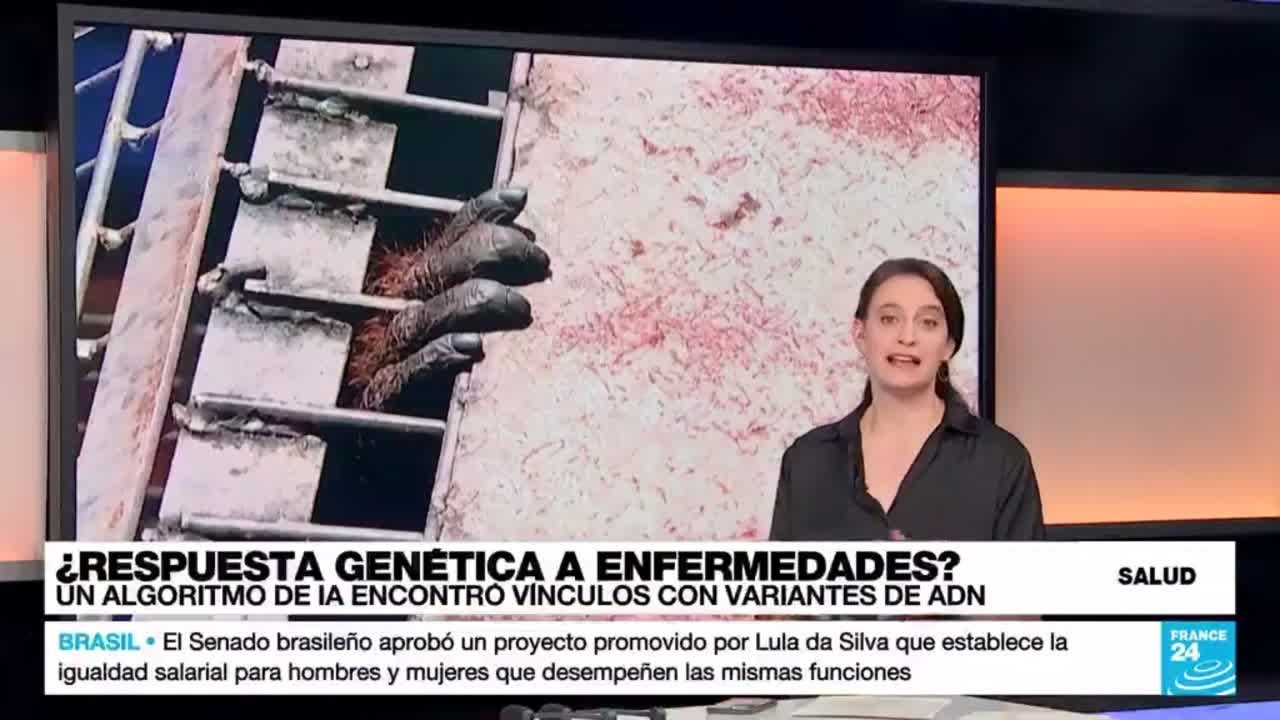 Un estudio gen&eacute;tico de centenares de primates arroja luz sobre nuestra salud y nuestra historia