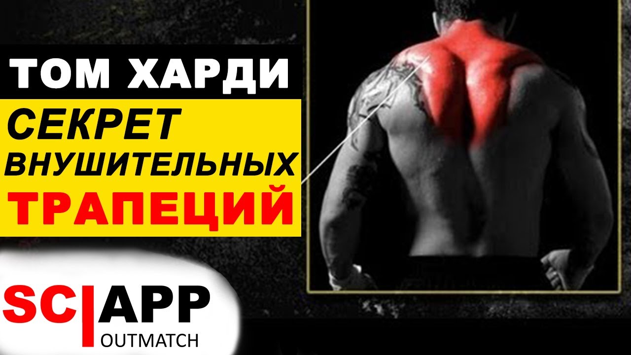 Трапеция как у Тома Харди - Одни Шраги Не Помогут | Джефф Кавальер