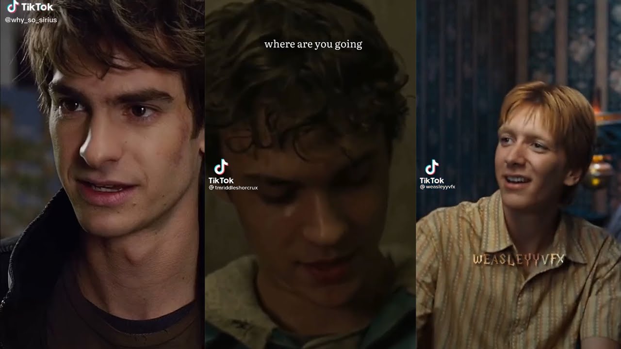 Harry Potter Boys x Y/N TikTok POV