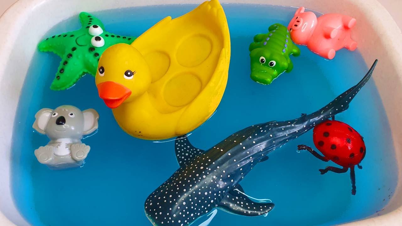 Animals for kids Goose Duck Horse Shark Stingray Starfish Elephant Lion Tiger Crocodile Octopus Bee