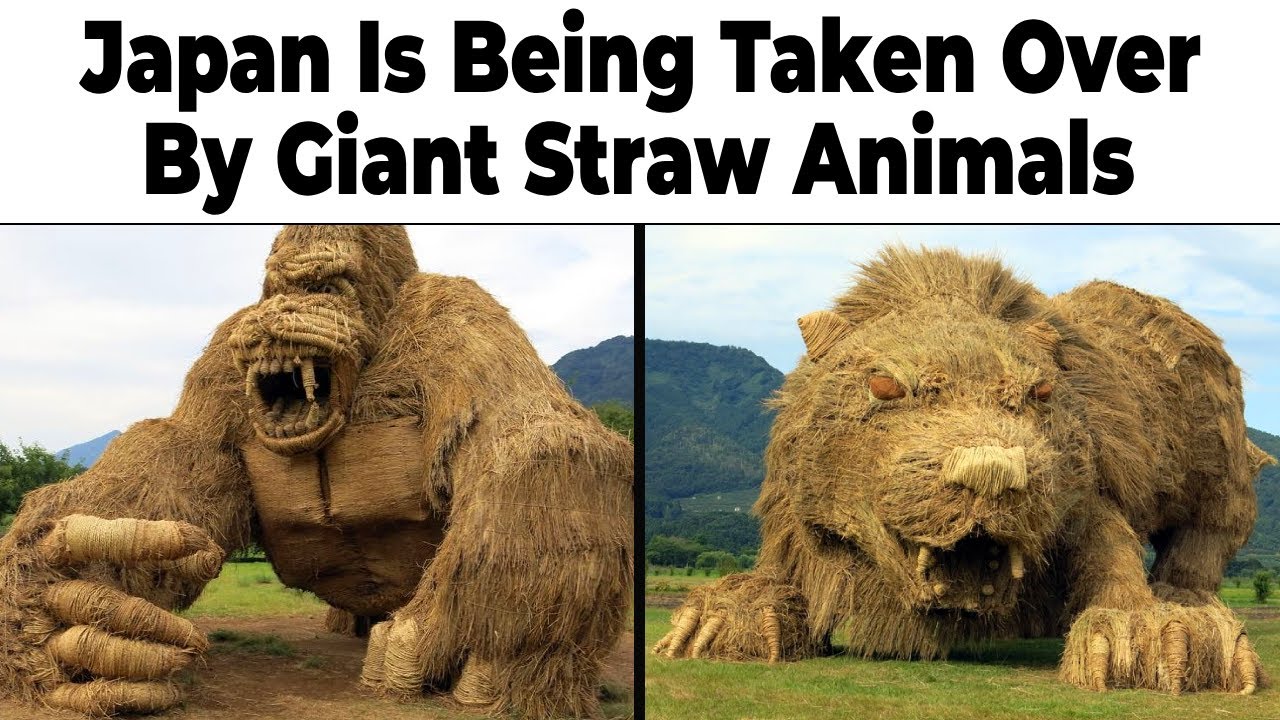 Japan Memes