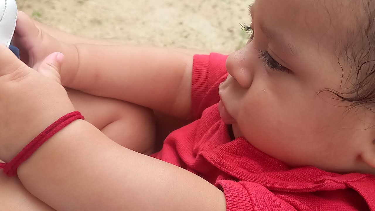 Vlog: formigas atack/ almocinho 