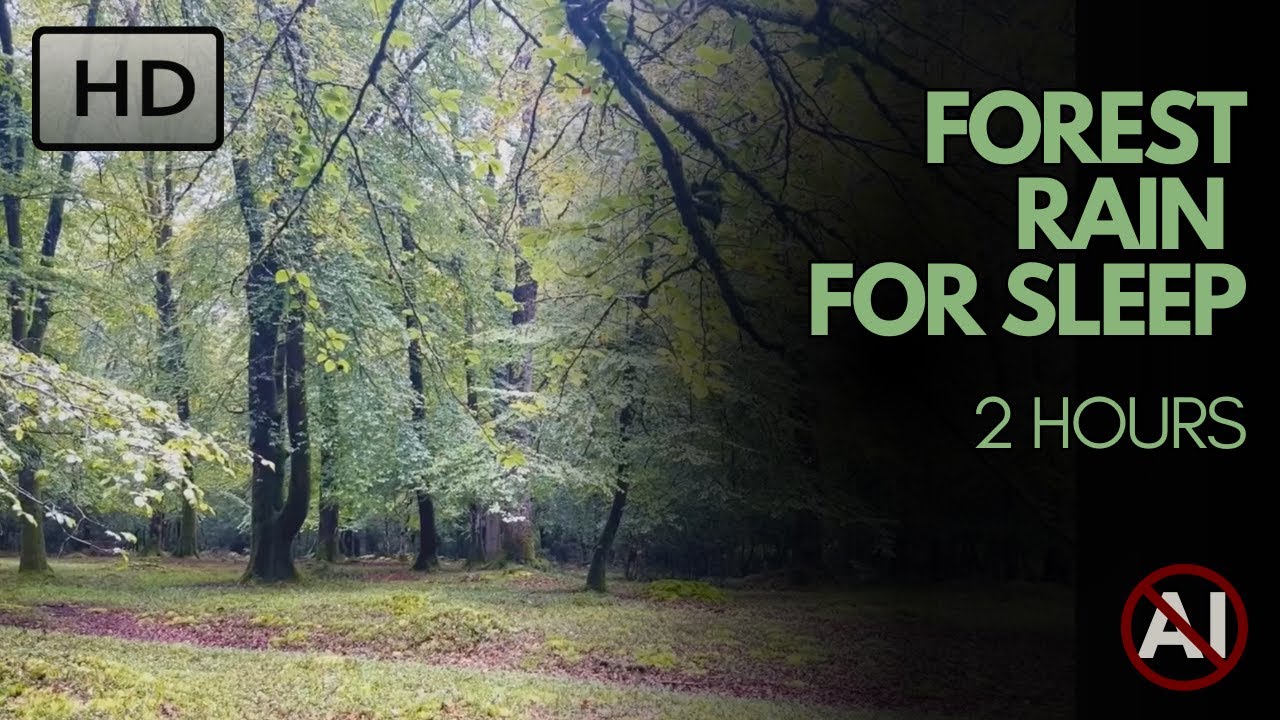Calming forest rain ASMR. White noise for deep sleep, studying, and meditation. No AI