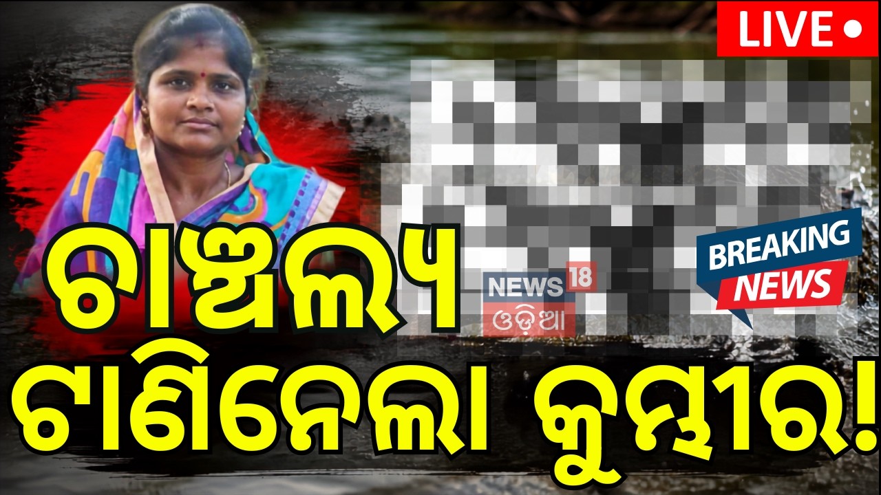 Live: ସକାଳୁ ହଠାତ୍ ଗାଏବ! Horrific Crocodile Attack In Kendrapara Pattamundai: Woman Missing |