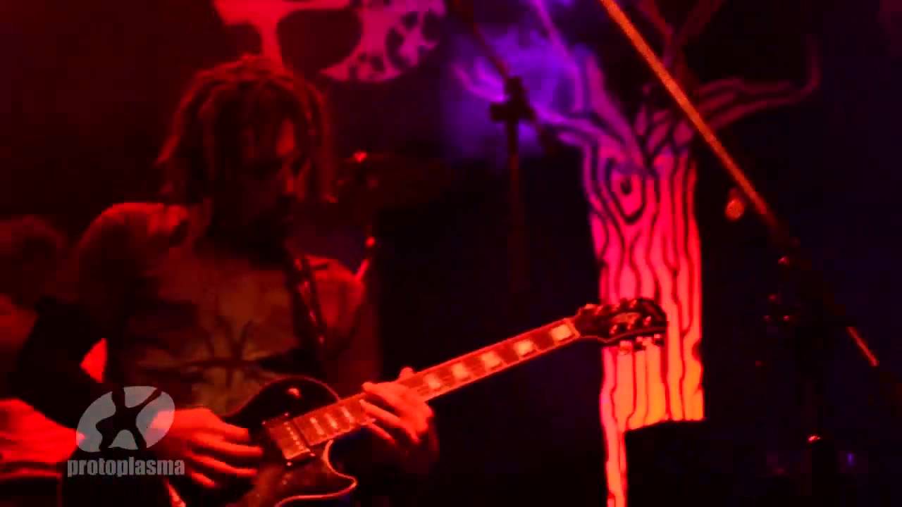 - Bienvenidos - PROTOPLASMA -