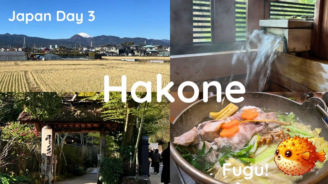 Hakone Adventure: Scenic train ride, Hakone woodcraft, Gora, Ryokan, Fugu hotpot|| Japan Day 3 [Sub]