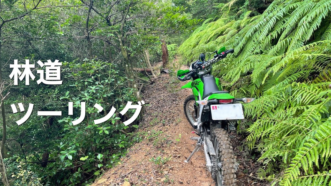 夏の林道ツーリング　オフロードバイクで山登り　Kawasaki KLX230 [vlog]