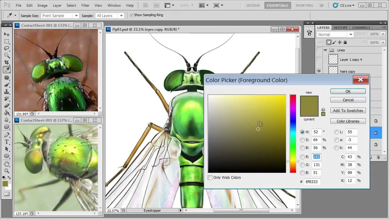 How to Create Super-Detailed Wildlife Illustrations