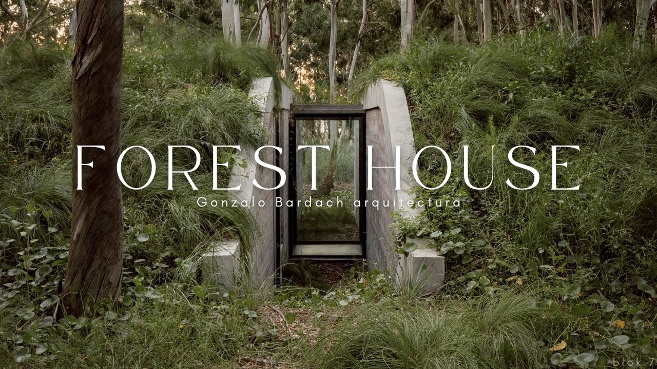 A Green-Roofed House That Blends with the Pine Forest | Forest House