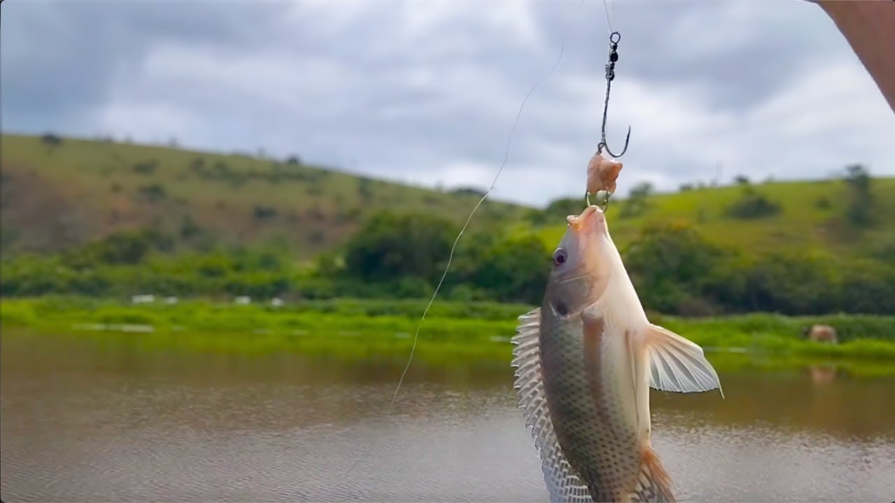 Pesca de tilápia com boia no lagoão