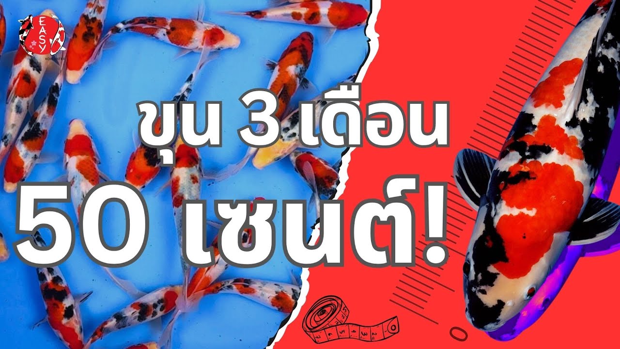 พลิกโฉม 