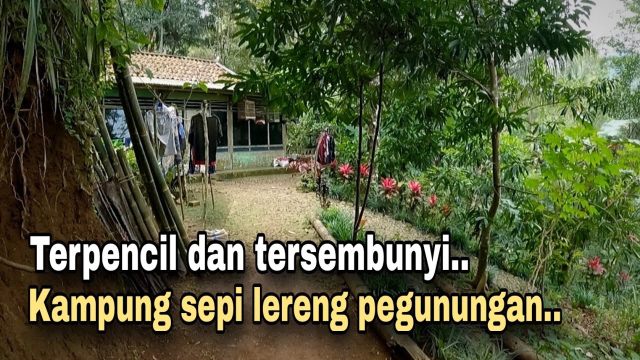 KAMPUNG SEPI..!! RUMAH RUMAH MENCIL DI LERENG LERENG PEGUNUNGAN BANYUMAS SELATAN.
