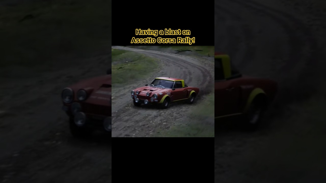 Having a blast on Assetto Corsa Rally! 