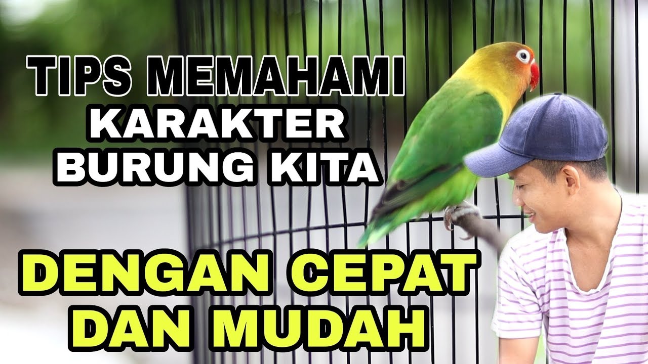 CARA MEMAHAMI KARAKTER BURUNG KITA