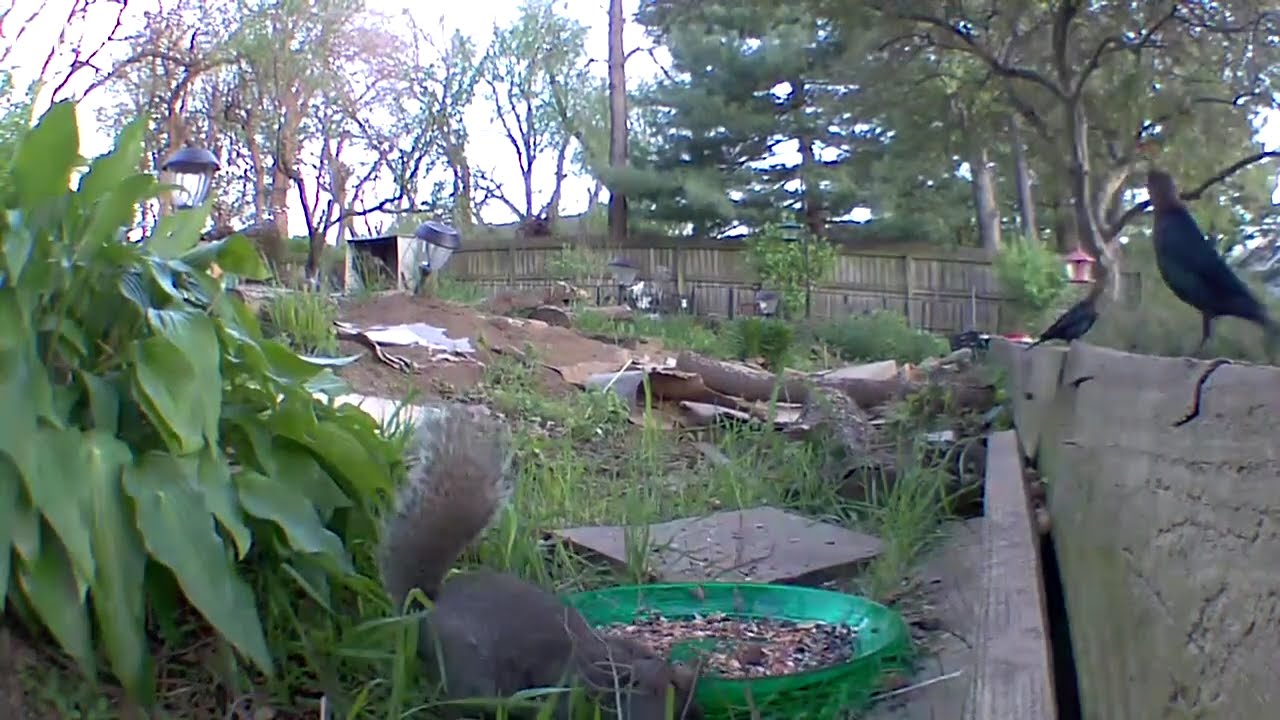 2024 March Outdoor Critters