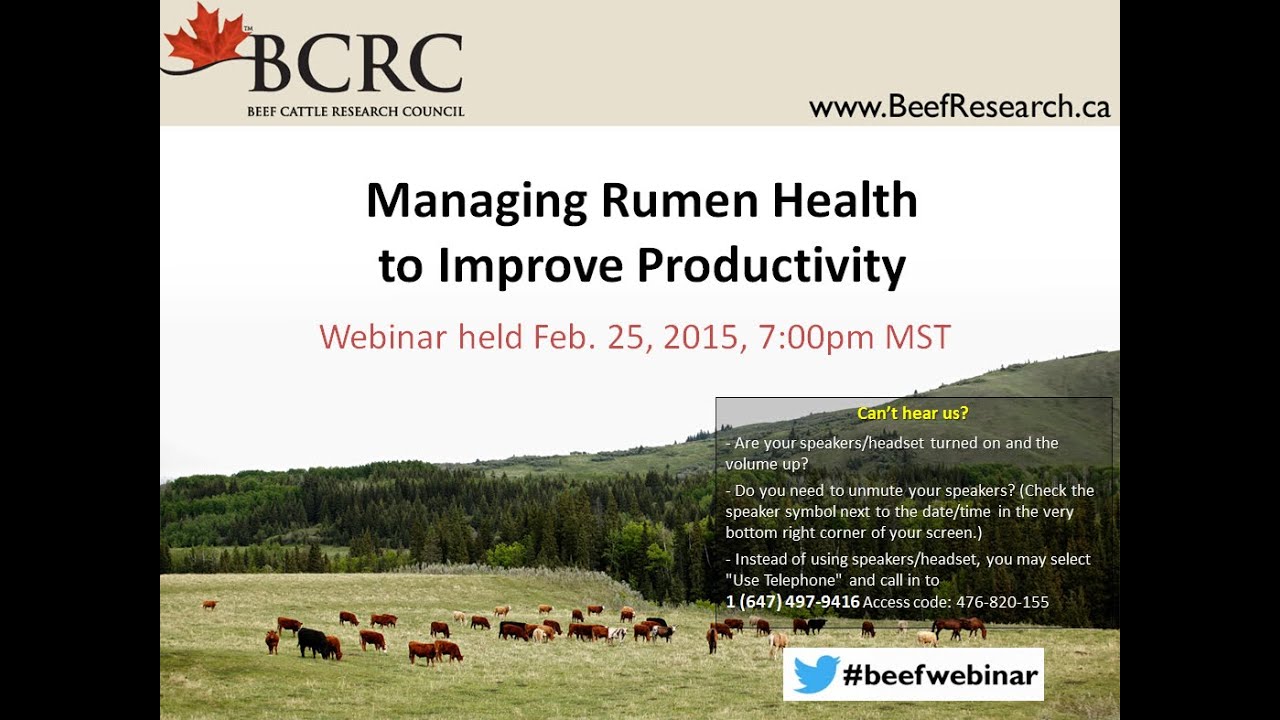 Managing rumen health to improve productivity (BCRC webinar)
