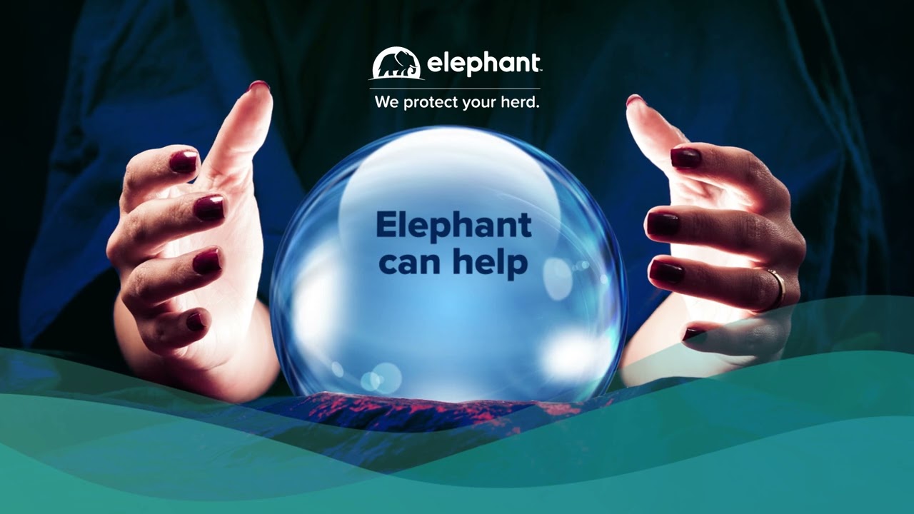 See if you can save a fortune with Elephant Insurance #carinsurance #carinsurancequotes