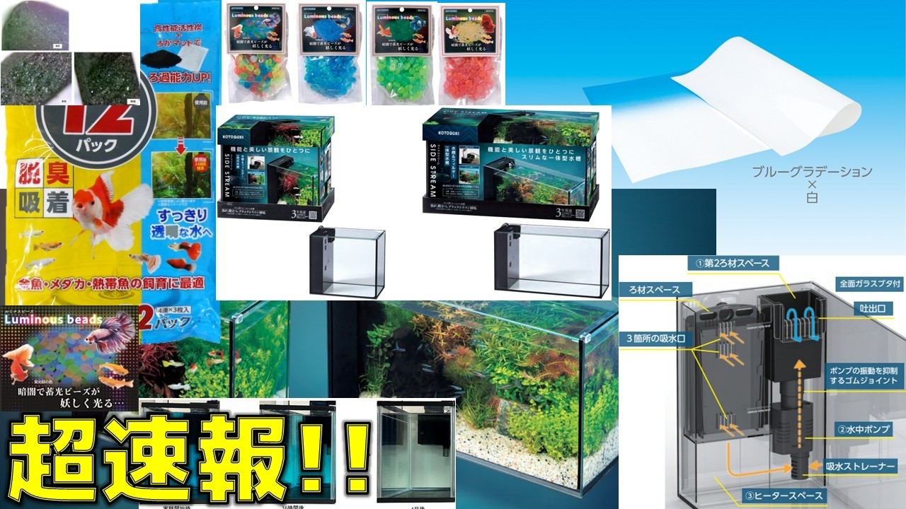 【速報】コトブキが2026年度の新商品を新たに発売したので、ああだこうだ【ふぶきテトラ】