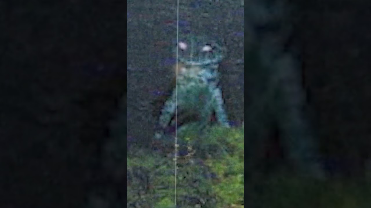 The Loveland Frog man