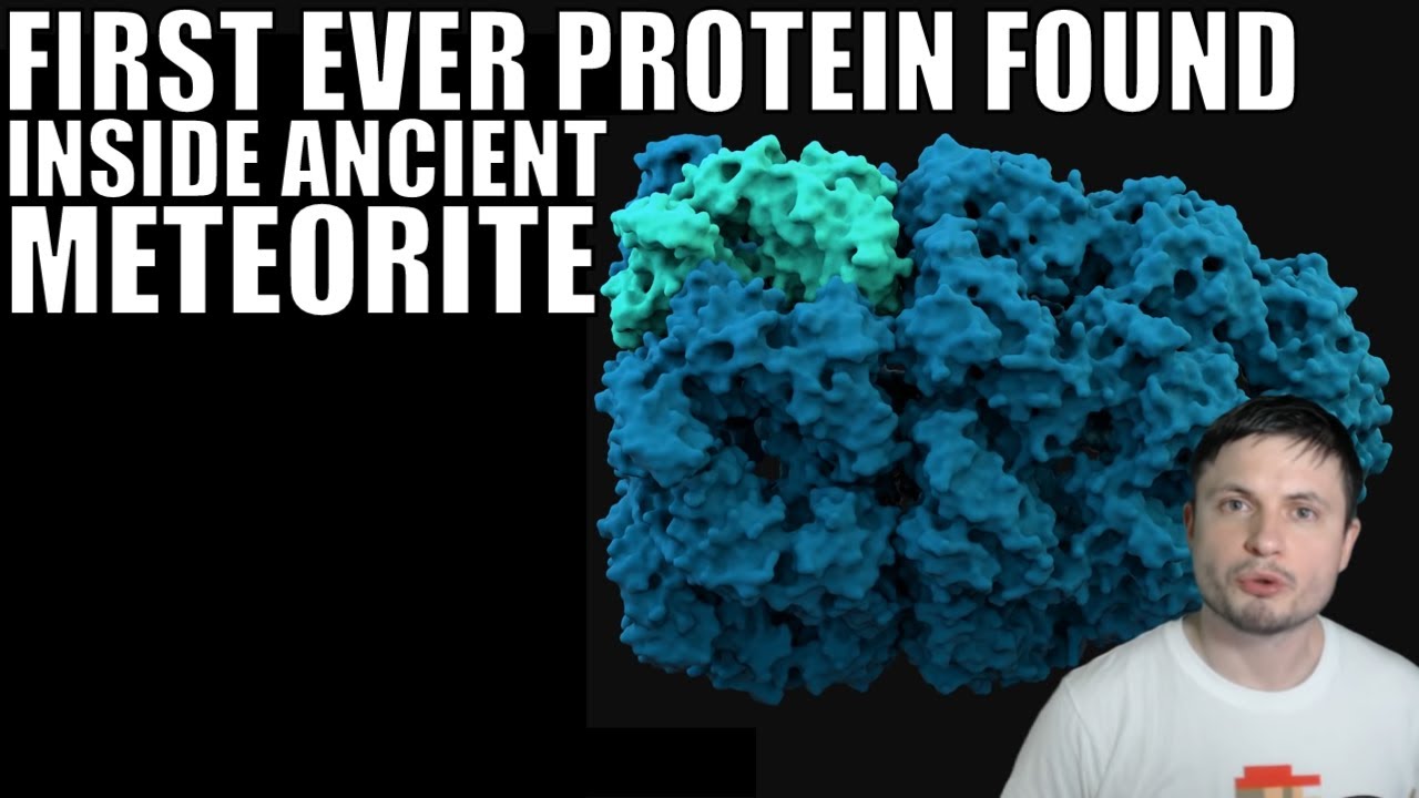 First Ever Protein Found Inside an Ancient Meteorite!