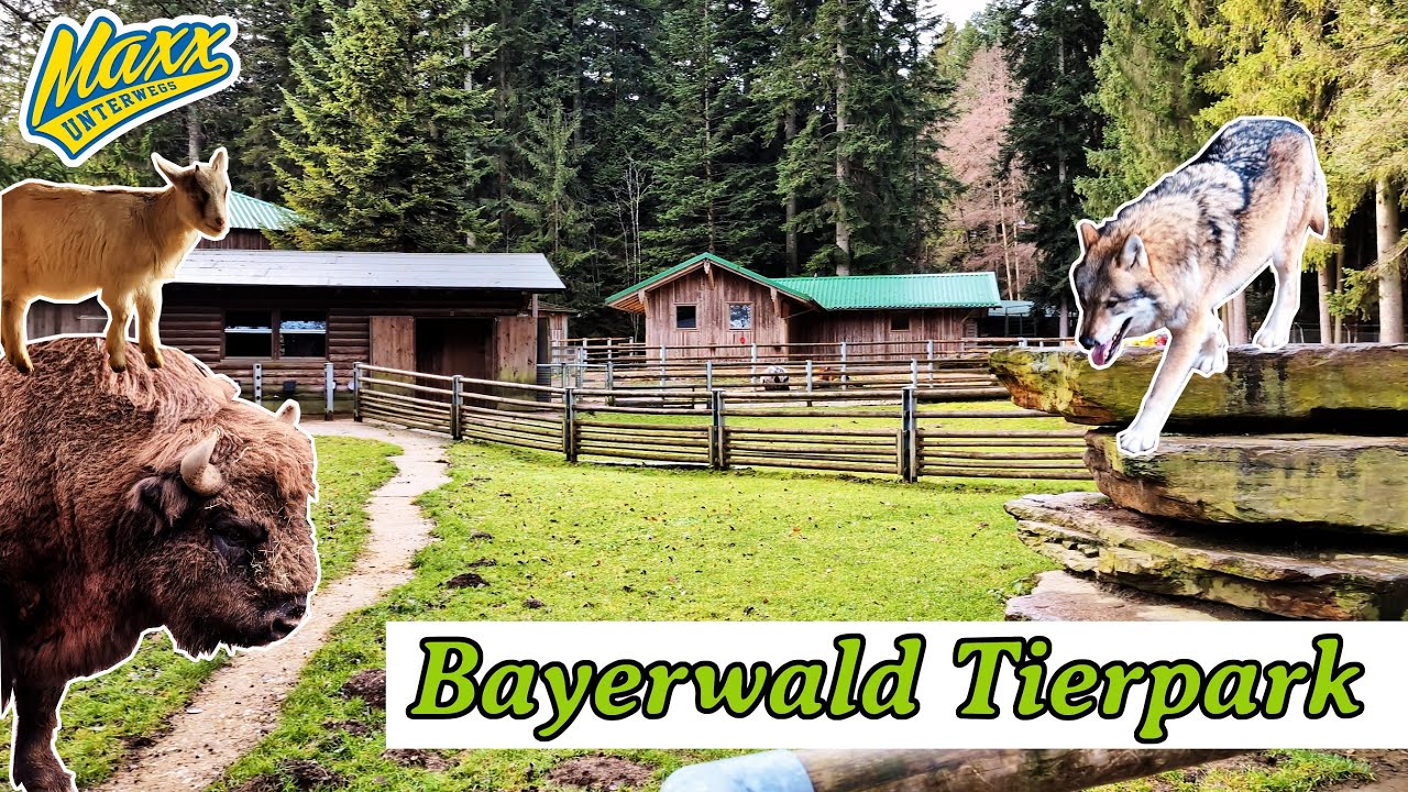 Bayerwald Tierpark | Rundgang | Zoocheck | 2024