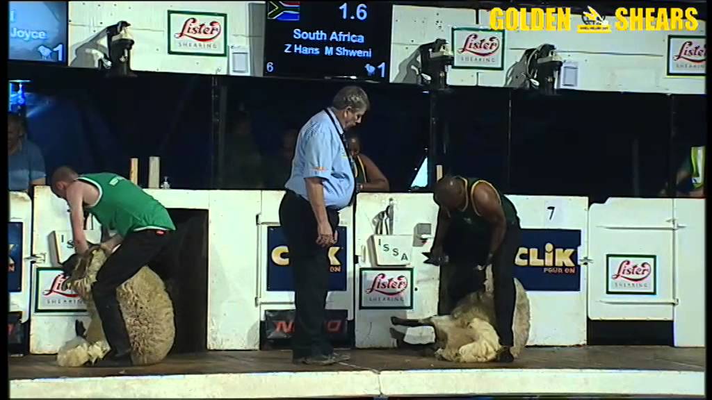 Golden Shears 2014 - World Blade Shearing Teams Final