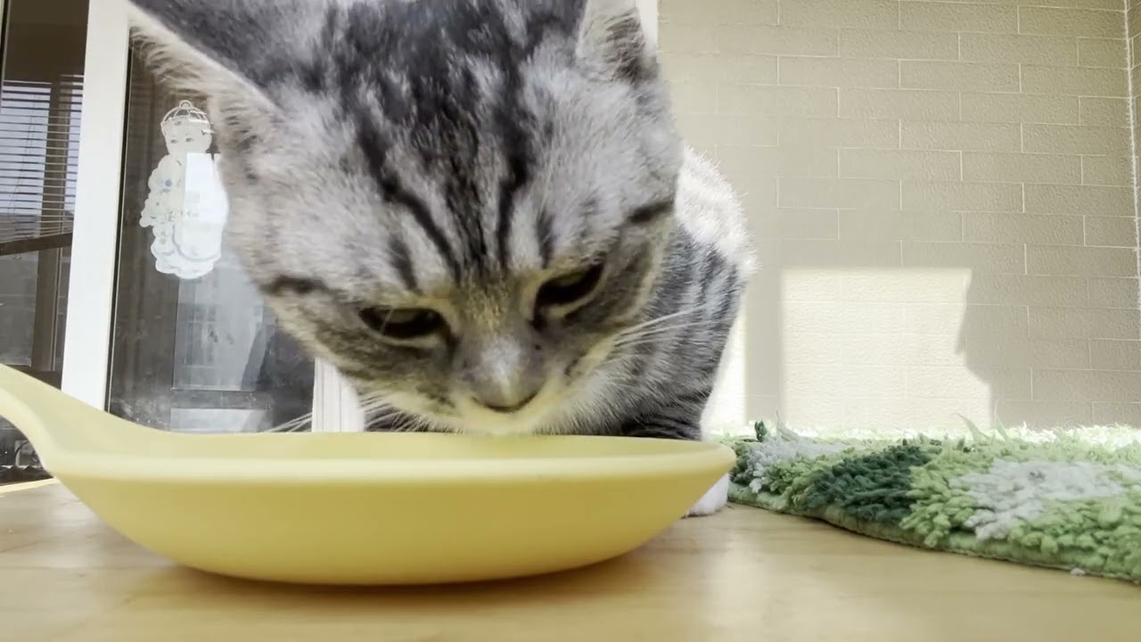 It's all mine, nobody can touch it.
