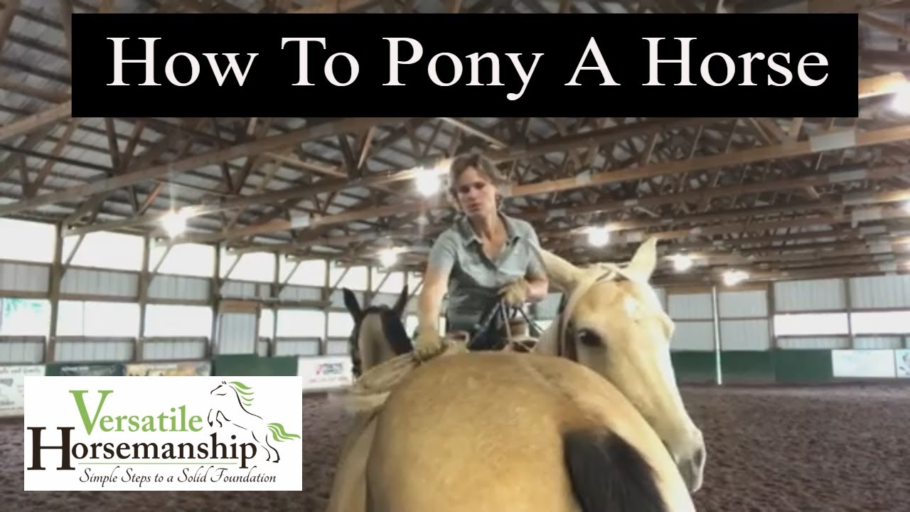 How To Pony A Horse // Versatile Horsemanship