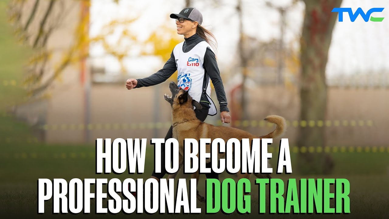 How to Become a Professional Dog Trainer: Jill Viggiani