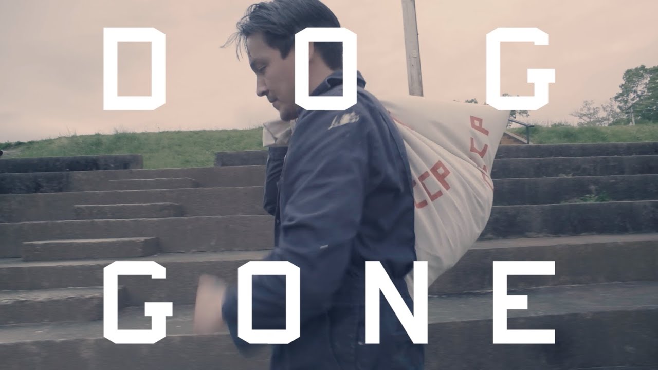 Dog Gone