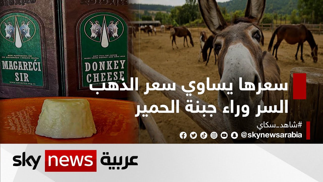 سعرها يساوي سعر الذهب.. السر وراء جبنة الحمير | #وثائقيات_خاصة