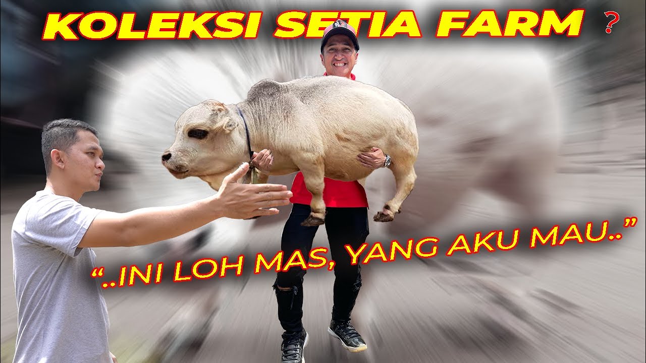MAS HERMAWAN;  
